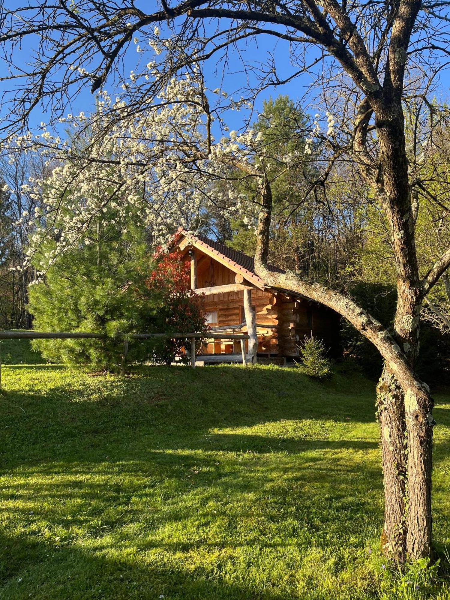 Hut At The Forest Male Brusnice Exterior foto